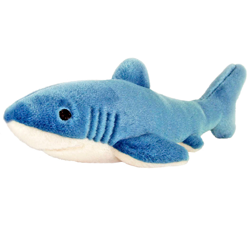 Tank the Shark