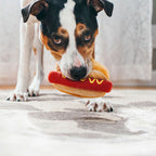 American Classic Hot Diggy Dog Plush Toy